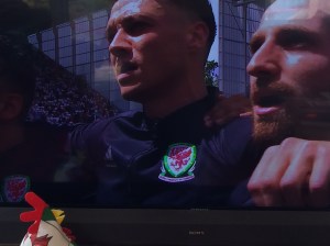 welsh-hen-watchin-tv