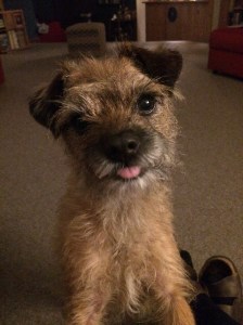 very cute Bramble pic